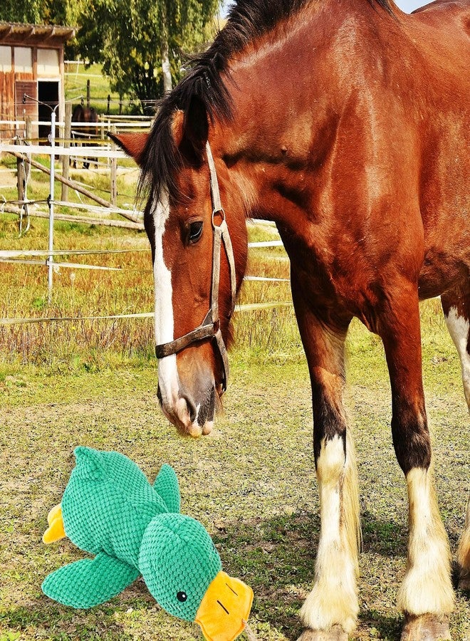 OOXYG Horse Toys Squeaky Squeeze Plush Duck, Interactive Squeaky Duck Toy for Horses to Play with, Hanging Plush Enrichment Toys for Horses Goat to Prevent Boredom-Green - Image 2