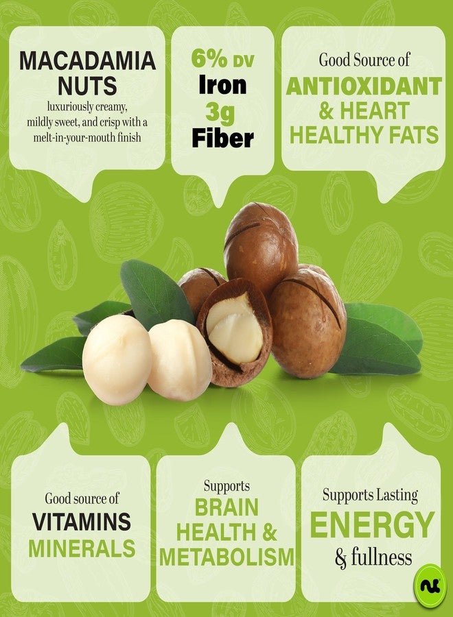 NUT CRAVINGS - Roasted & Salted Macadamia Nuts - No Shell, (32oz - 2 LB) Bulk Nuts Packed Fresh in Resealable Bag - Healthy Protein Food Snack, Food Assortments Hazelnut - Image 2