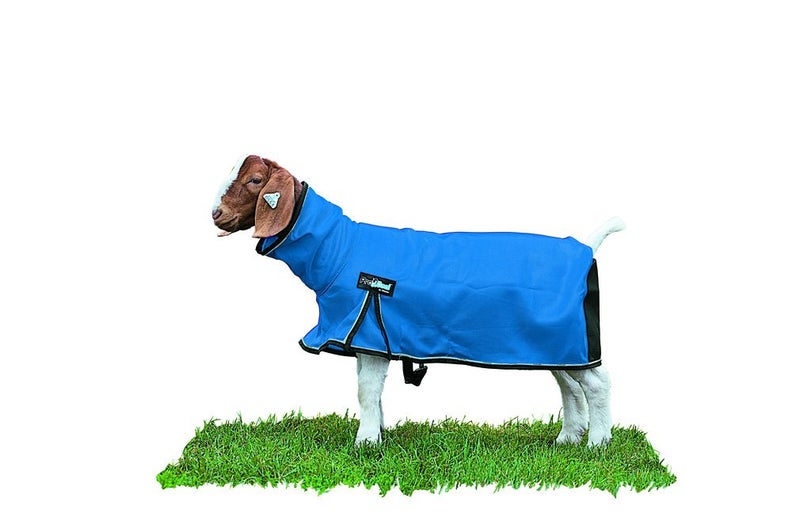 Weaver Leather Livestock ProCool Mesh Goat Blanket with Reflective Piping, Blue, Large - Image 2