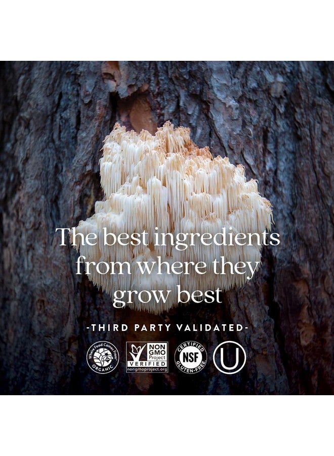 نيو تشابتر مكمل غذائي لصحة الأعصاب من نيو تشابتر لدعم 3 في 1 من الرأس إلى القدمين - فيتامين ب1 يُولّد الطاقة للأعصاب، وفيتامين ب6 يُعزز انتقال الطاقة بشكل صحي، وفيتامين ب12 يُعزز العزل، 30 قرصًا - Image 5