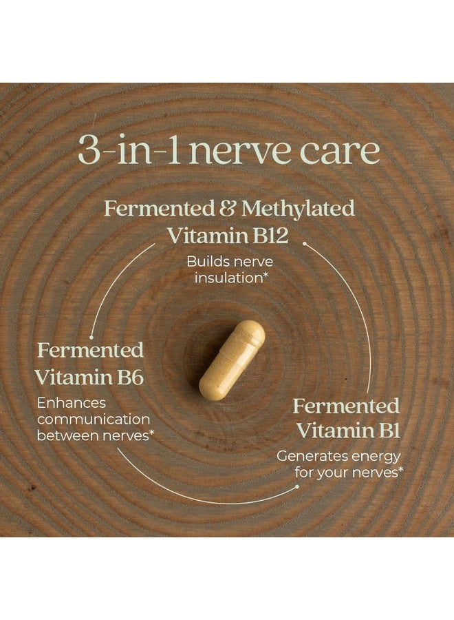 نيو تشابتر مكمل غذائي لصحة الأعصاب من نيو تشابتر لدعم 3 في 1 من الرأس إلى القدمين - فيتامين ب1 يُولّد الطاقة للأعصاب، وفيتامين ب6 يُعزز انتقال الطاقة بشكل صحي، وفيتامين ب12 يُعزز العزل، 30 قرصًا - Image 3
