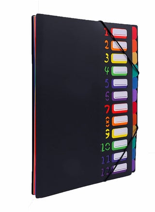 Colored File Folders,Accordian File Organizer Black Cover with 24 Pockets, A4 Letter Size Expanding Hold 240 Sheets, with Rainbow Tabs Suitable for School Office Travel - pzsku/Z464B728D12349AF1CDE2Z/45/_/1670827909/b7fe1b21-d281-44e7-8025-c17f6bf433cd
