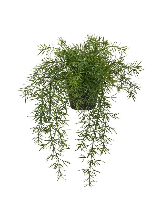 زبون نبات اصطناعي في وعاء، داخلي/خارجي، هليون/معلق، 12 سم - Image 1