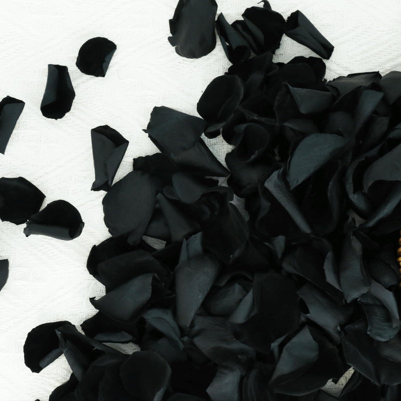 Koceko Dried Real Black Rose Petals  Preserved Flower Petals 1.75oz for Valentine's Day Gifts Wedding Party Decor  Flower Girl  Dinner table Centerpieces  Bridal Shower  Flower Confetti 50g - Image 1
