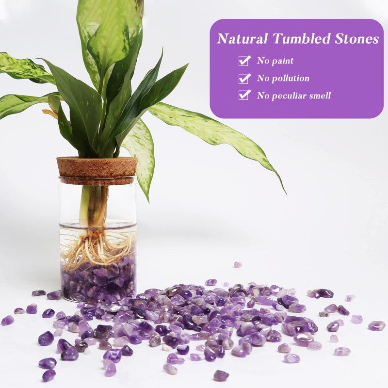 Qicqdram Polished Gem Stones Rocks Crystals 0.9 Lb/405G Natural Tumbled Stones Amethyst Crystal Chips Bulk For Healing Crystals & Fish Tank Rocks Gravel  Vase Filler  Plants Decor - Image 4