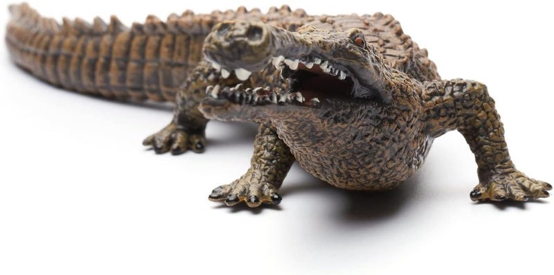 CollectA Prehistoric Life Sarcosuchus Toy Dinosaur Figure - Hand Painted & Paleontologist Approved Model, 7.3"L x 2"H - Image 2