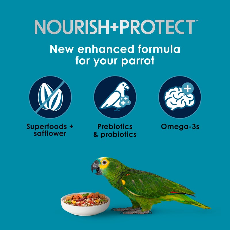 Kaytee Forti-Diet Pro Health+Safflower Nourish+Protect Parrot Food, Supports Breeding and Molting, Nutrition Backed by Science, Digestive and Brain Health, 4 pounds - Image 3