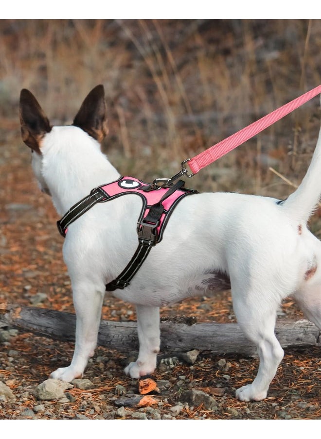 Joytale - Joytale Double-Sided Reflective Dog Leash, 6 FT/5 FT/4 FT, Padded Handle Nylon Dogs Leashes for Small & Medium Dogs Walking, Pink, 6FT - Image 1