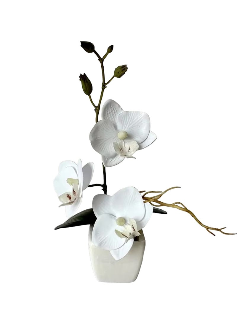 Huitich Artificial Phalaenopsis Whiskers Mini Potted Beauty White  - Image 1