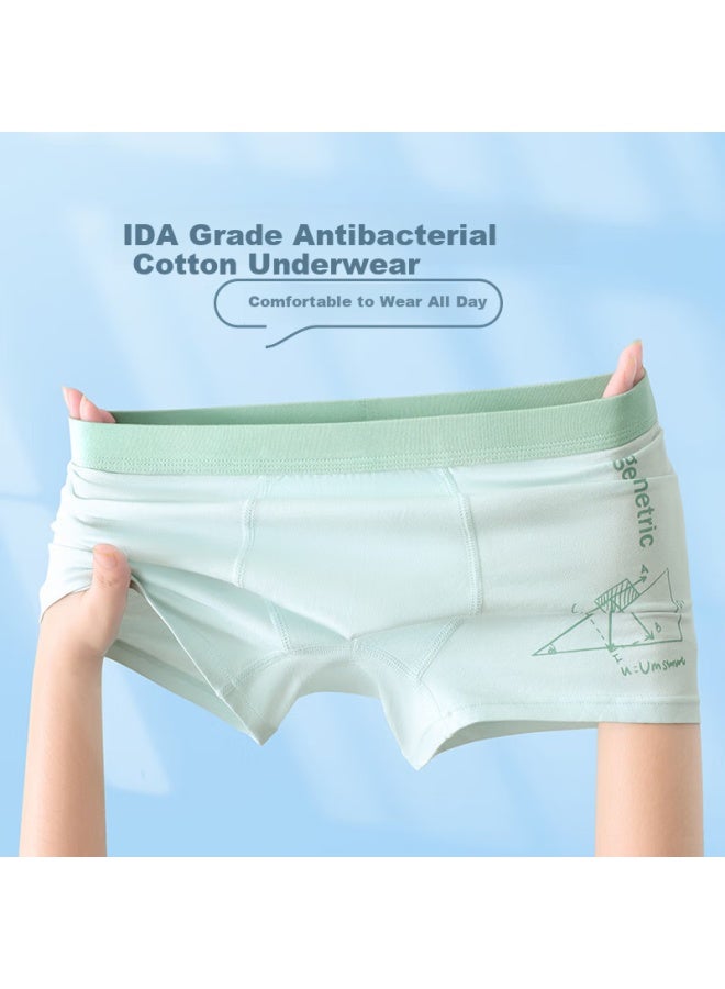 Top Melon Melon Teenage Underwear Development Period Boys Cotton 12-16 Years Old Right Angle Junior High School Students Children Adolescents Right Angle Pants - Image 2