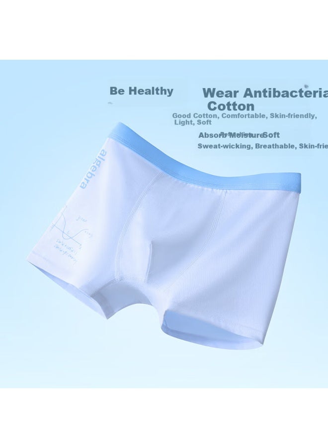 Top Melon Melon Teenage Underwear Development Period Boys Cotton 12-16 Years Old Right Angle Junior High School Students Children Adolescents Right Angle Pants - Image 3