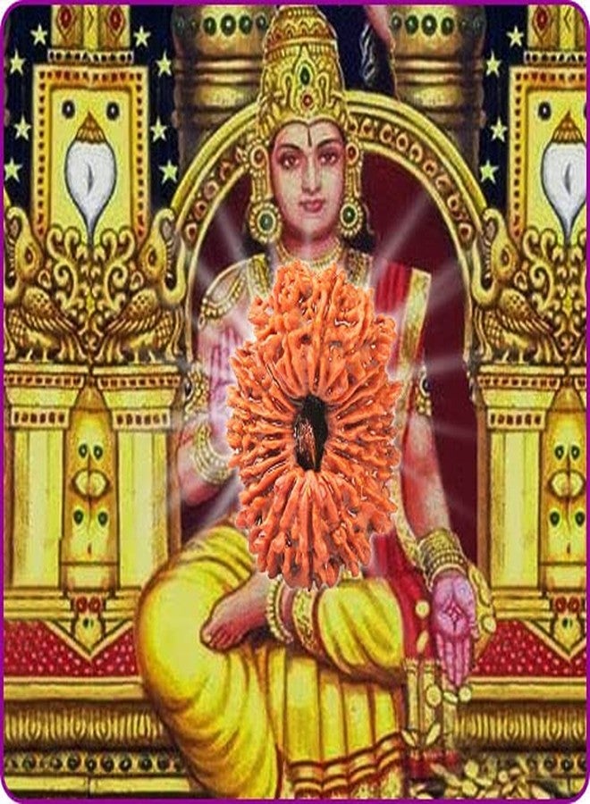 IRIS GEMS 21 Face Rudraksha Original Certified Natural Nepal Ikkis Mukhi Rudraksha Energized Rudraksha 21 Mukhi High Rated Pure Nepali Twenty One Mukhi Rudraksha Pendant & Laal Dori for Wearing by IRIS GEMS - Image 4