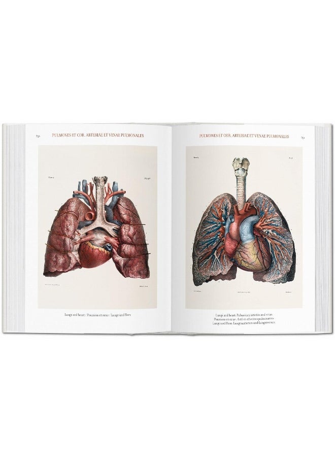 Bourgery. Atlas of Human Anatomy and Surgery
