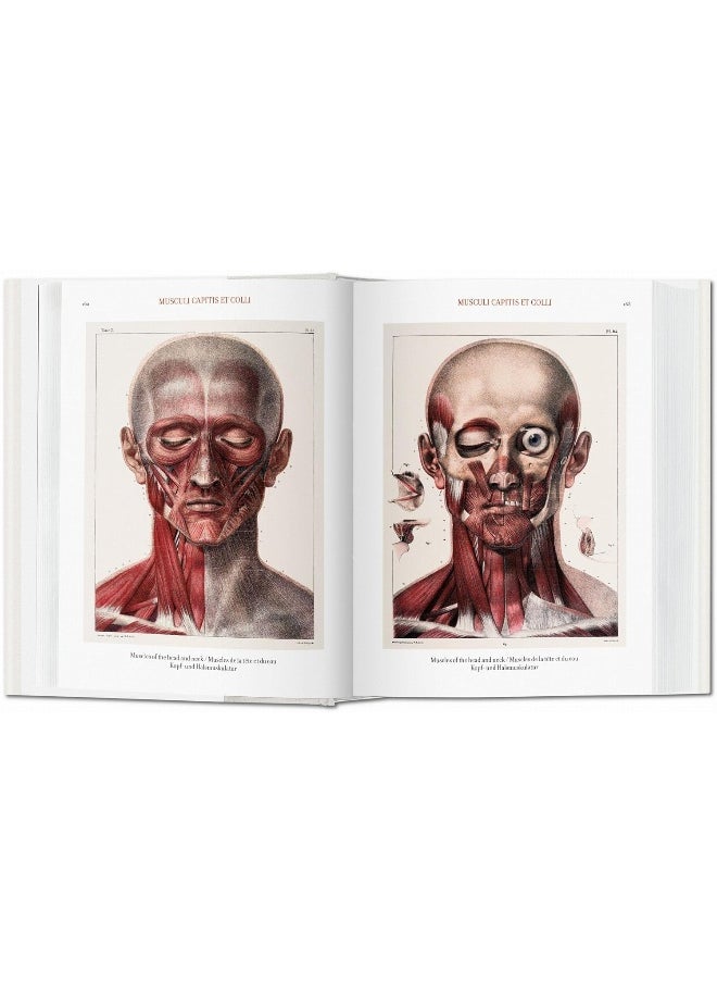 Bourgery. Atlas of Human Anatomy and Surgery