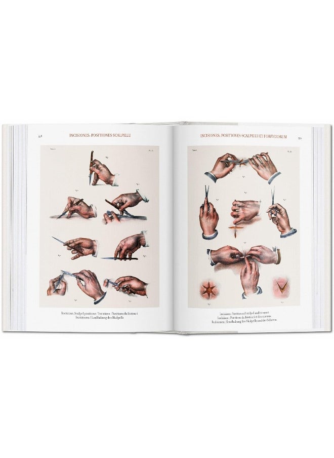 Bourgery. Atlas of Human Anatomy and Surgery