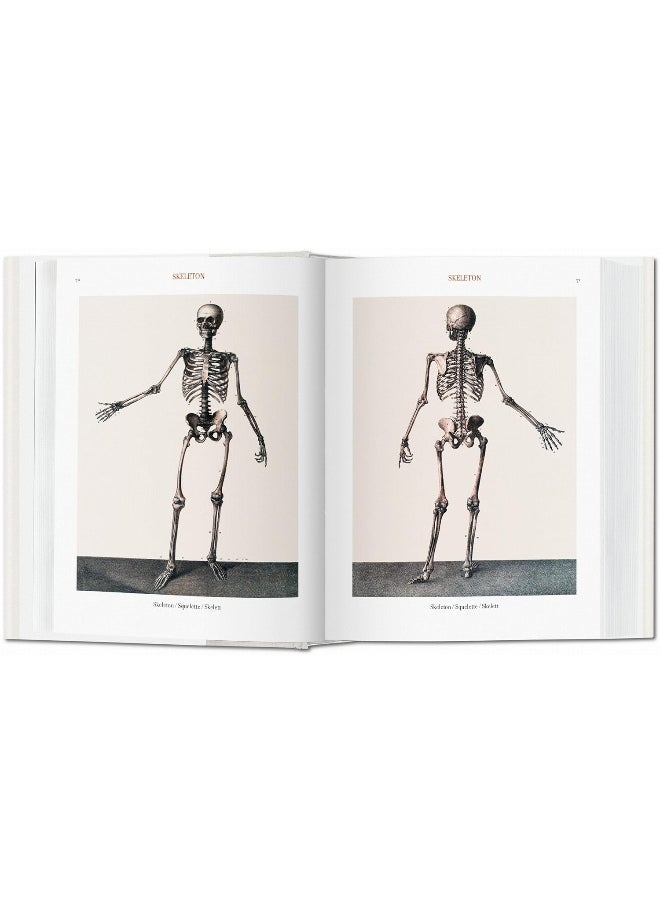 Bourgery. Atlas of Human Anatomy and Surgery
