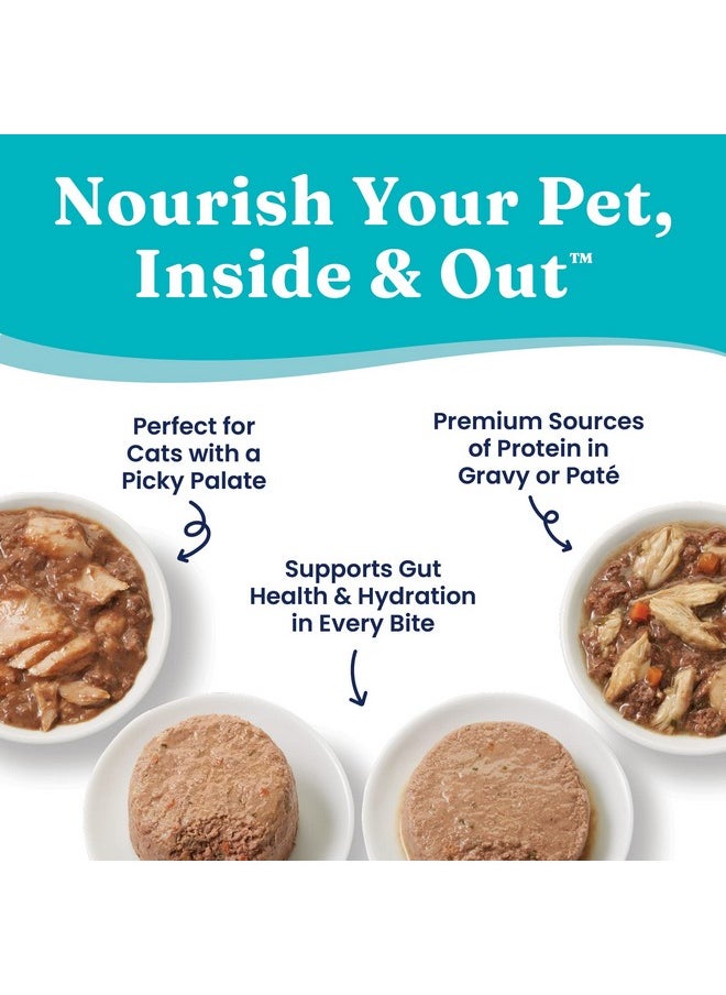 solid gold - Wet Cat Food Variety Pack  Pate & Shreds In Gravy Recipes  Made With Real Chicken, Tuna & Mackerel For Sensitive Stomach & Immune Health  Canned, 12 Pack - Image 1