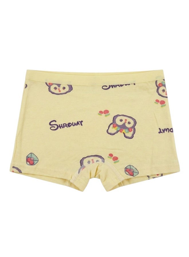 Bidani Pure Cotton Soft Comfort Panties – 4 PC Girl - Image 4