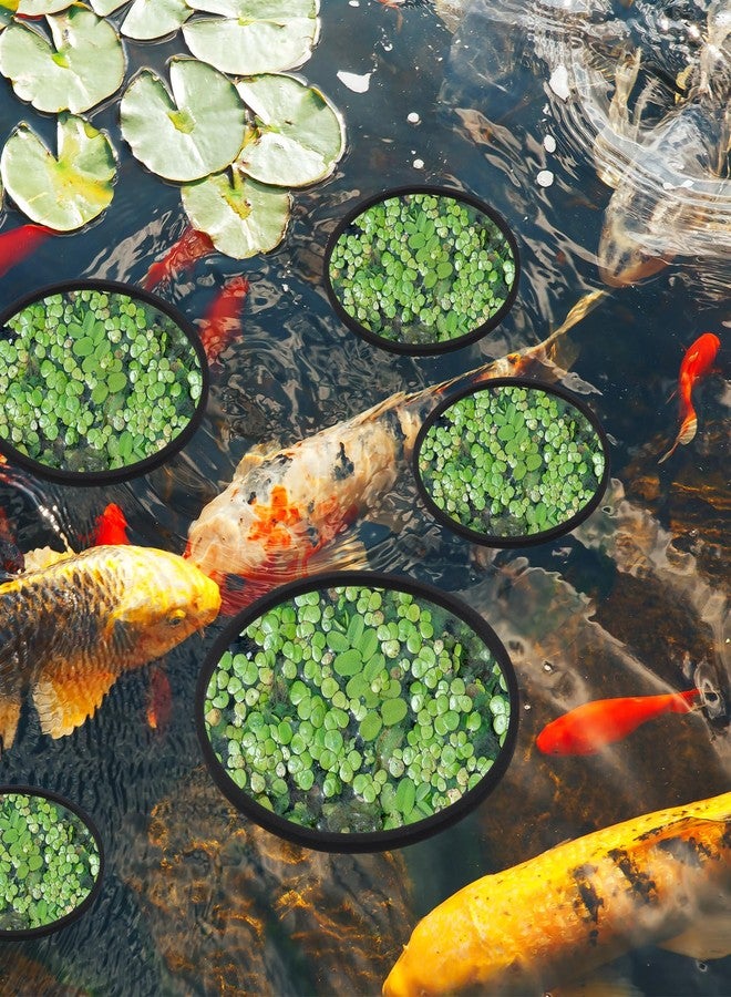 Bremorou 5 Pcs Floating Rings for Aquarium 5 Sizes Fish Feeding Ring Set EVA Foam Floating Plant Corral Aquarium Feeding Ring for Fish Tank Betta Feedings Rings Filter Out Floatings Plants Accessories Black - Image 5