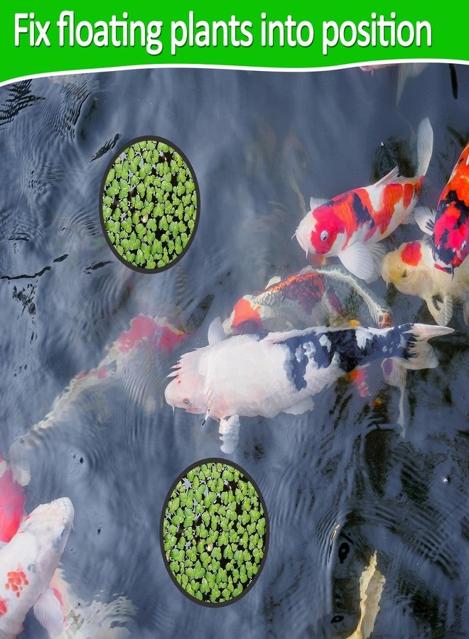 Bremorou 5 Pcs Floating Rings for Aquarium 5 Sizes Fish Feeding Ring Set EVA Foam Floating Plant Corral Aquarium Feeding Ring for Fish Tank Betta Feedings Rings Filter Out Floatings Plants Accessories Black - Image 3