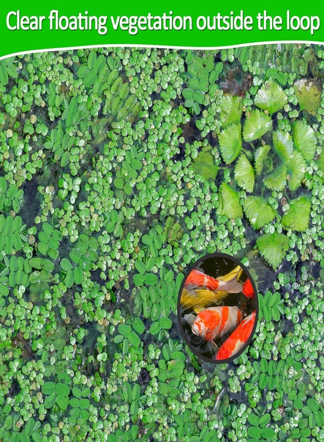 Bremorou 5 Pcs Floating Rings for Aquarium 5 Sizes Fish Feeding Ring Set EVA Foam Floating Plant Corral Aquarium Feeding Ring for Fish Tank Betta Feedings Rings Filter Out Floatings Plants Accessories Black - Image 4