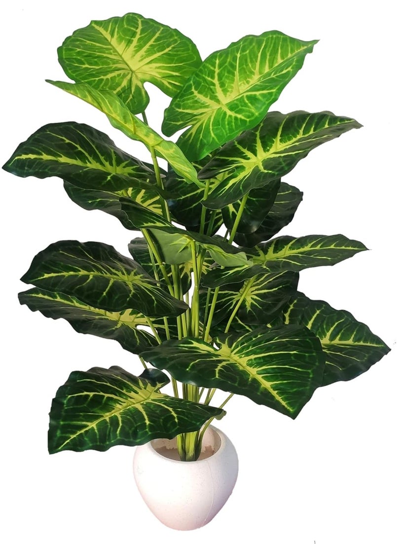 BAARIG BAARIG Natural Looking Big Money Plant Tree with 18 Long Leaves Without Pot Green Yellow  - Image 2