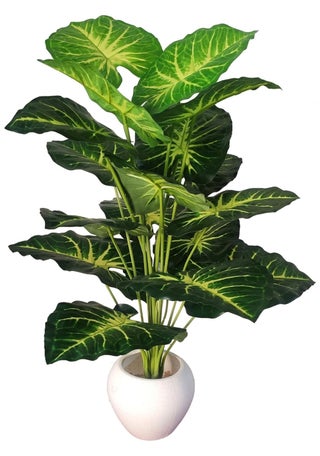 BAARIG Natural Looking Big Money Plant Tree with 18 Long Leaves Without Pot Green Yellow - pzsku/Z466010868160ED093EEDZ/45/1746724188/bffb311e-ad4b-4991-be35-3cc845c59d6a