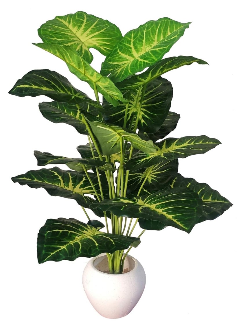 BAARIG BAARIG Natural Looking Big Money Plant Tree with 18 Long Leaves Without Pot Green Yellow  - Image 1