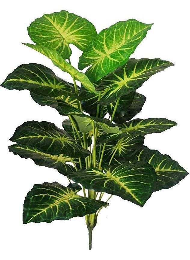 BAARIG BAARIG Natural Looking Big Money Plant Tree with 18 Long Leaves Without Pot Green Yellow  - Image 4