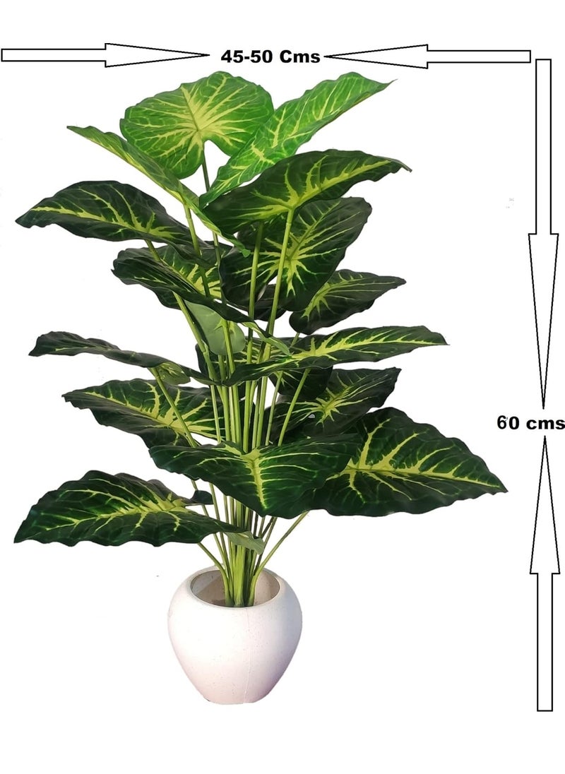 BAARIG BAARIG Natural Looking Big Money Plant Tree with 18 Long Leaves Without Pot Green Yellow  - Image 3