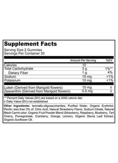 SUNSHINE NUTRITION حلوى جيلاتينية لصحة العين من جود جاميز، 60 قطعة - 00239  - Image 2