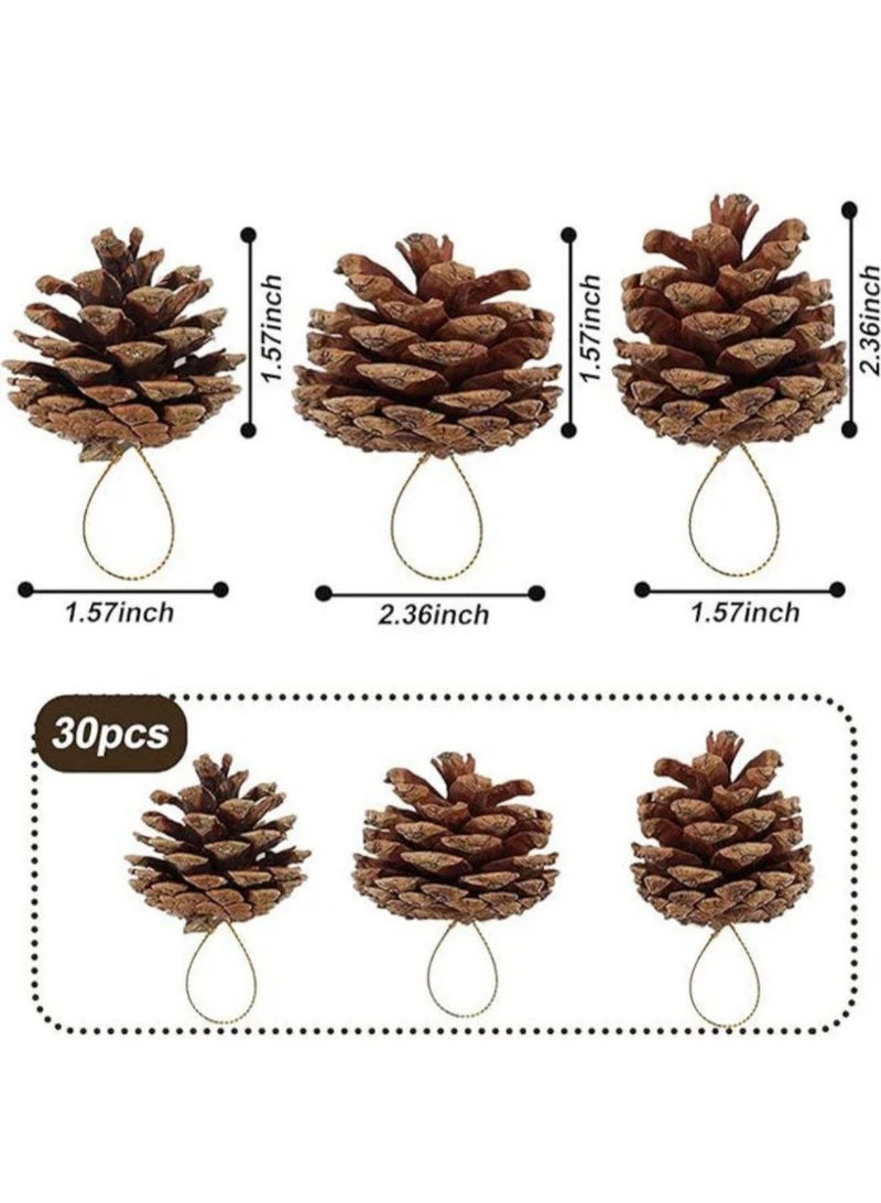 زينة شجرة عيد الميلاد من 30 قطعة من زينة أقماع الصنوبر - Image 4