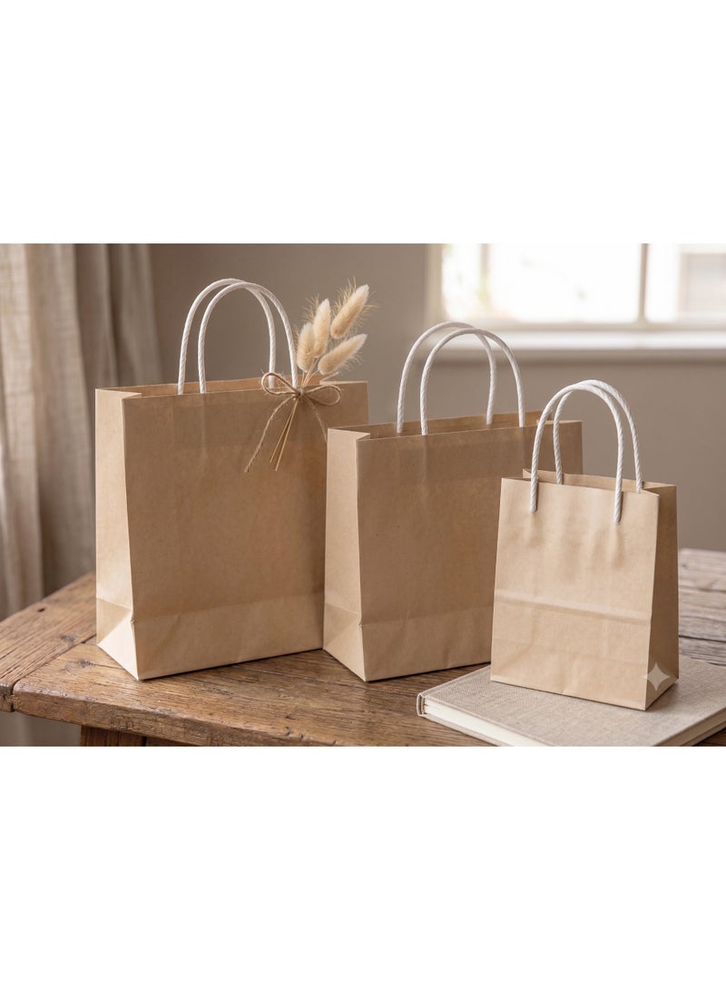 GOLDEN MASTER PACK 10 high quality  golden master brown kraft bags, size 31*31*14 - Image 2