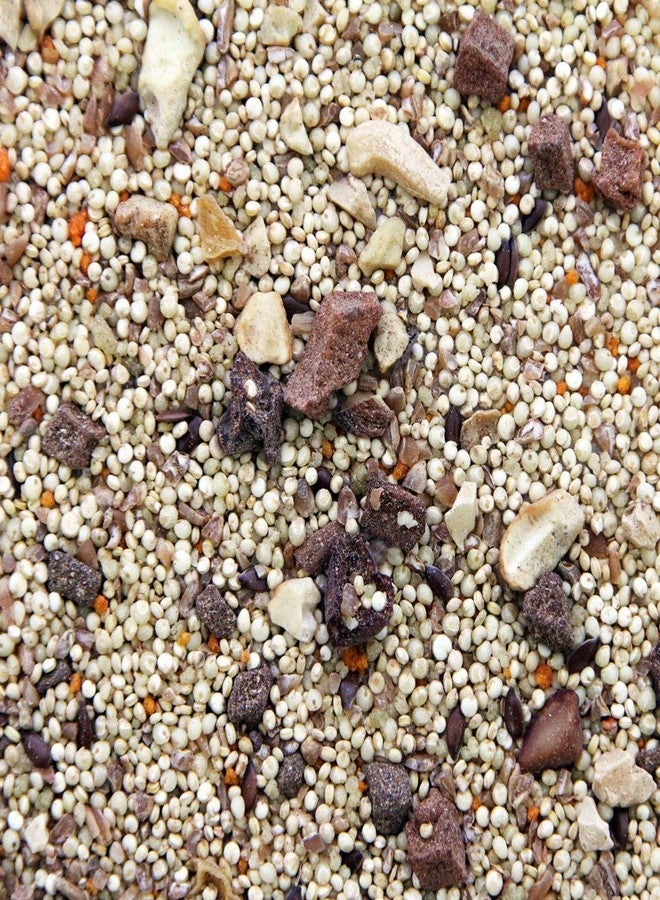 HigginS Worldly Cuisines Bird Food Appetizer - Image 3