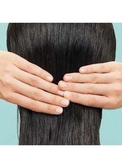 Nu Skin Ageloc Scalp & Hair Shampoo - Nourishing Shampoo For Strong, Silky Hair | Antioxidant, Protein Blend, Vitamin E, Bca Technology | Scalp-To-Root Strength(200Ml)  - Image 5