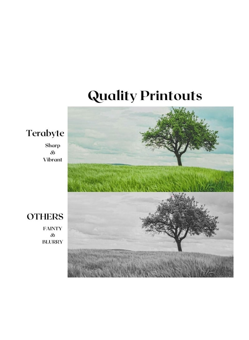 Terabyte TN360 COMPATIBLE TONER BLACK - Image 4