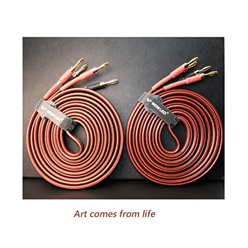 UCINNOVATE 2 Pack High-end Pure Copper HiFi OFC Speaker Wire Cable with Banana Plug, 3m Gold-Plated Banana Tip Plugs Male to Male 600 Strand 14 AWG for Audio Speaker HiFi System Home Theater (9.8FT) - Image 4