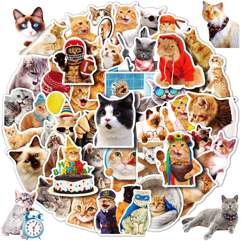 DothRayan Cat Stickers for Kids Teens Girls Adults, 100 Pcs Cute Cat Stickers, Vinyl Waterproof Animal Sticker for Water Bottle, Laptop, Luggage, Phone, Skateboard - Image 1