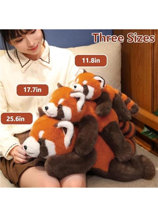 Generic - Red Panda Weighted Stuffed Animals,11.8 Inch Red Panda Plush Toy Doll,Stuffed Red Panda Plush Pillow Cute Weighted Red Panda Plushies Toys for Kids Boys Girls Birthday Gift - Image 1