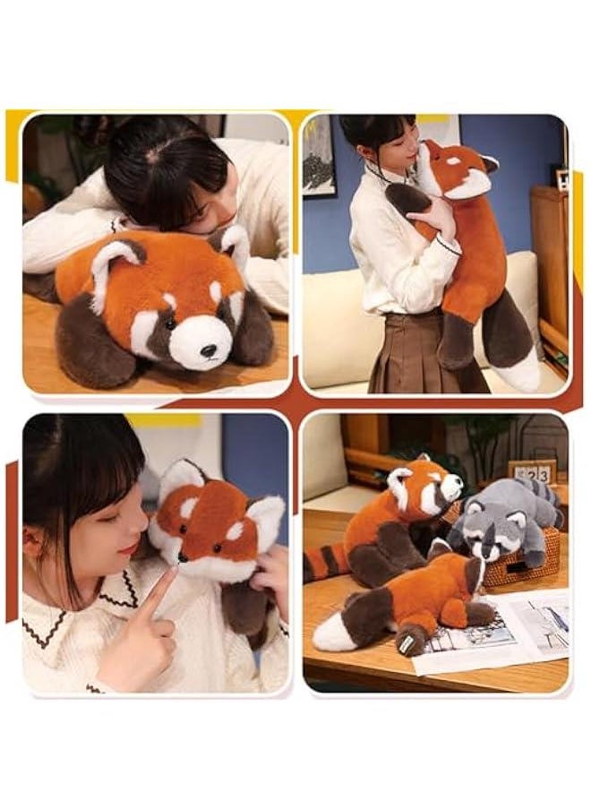 Generic - Red Panda Weighted Stuffed Animals,11.8 Inch Red Panda Plush Toy Doll,Stuffed Red Panda Plush Pillow Cute Weighted Red Panda Plushies Toys for Kids Boys Girls Birthday Gift - Image 1