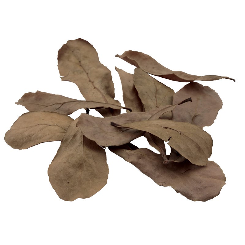 Fluval Betta Tropical Almond Leaves Aquarium Decor, 10-Pack - Image 1