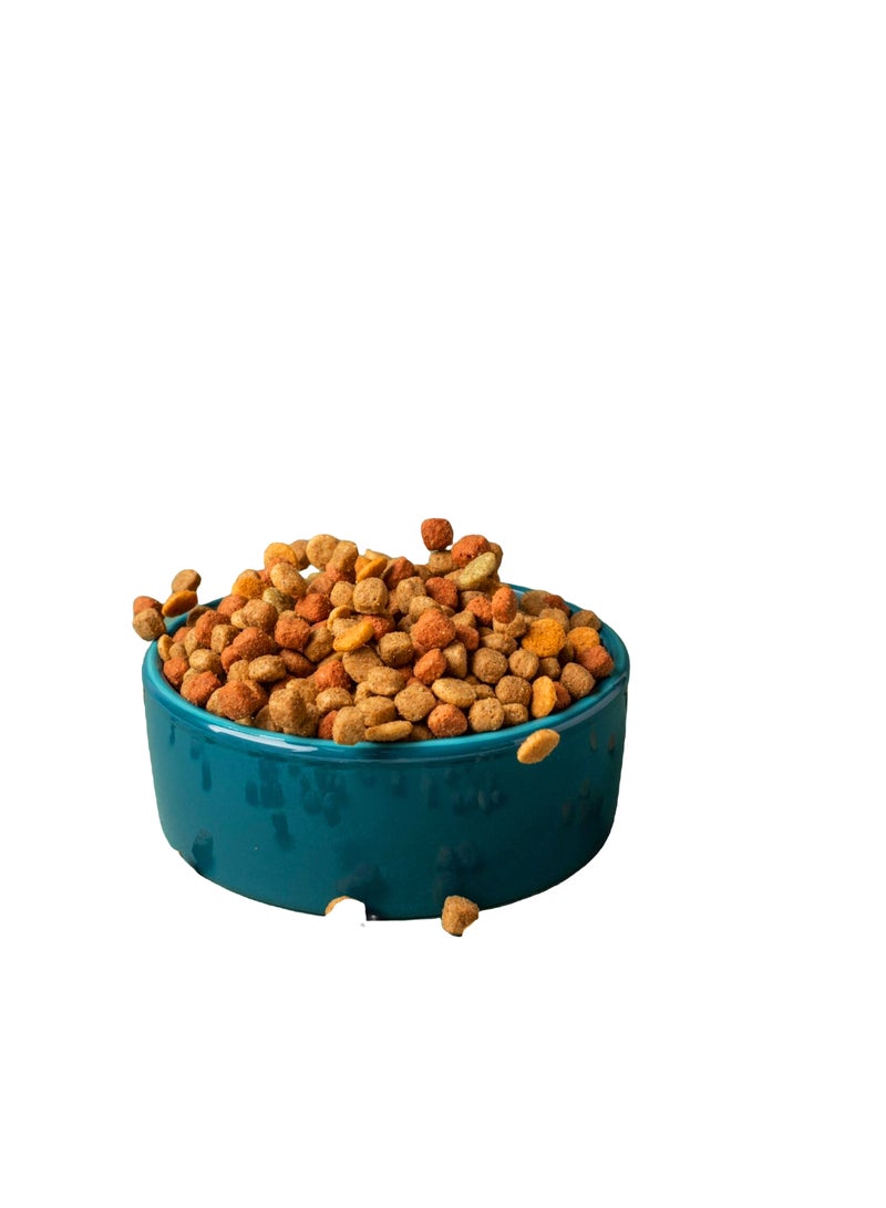 Friskies Purina Friskies Dry Cat Food with Salmon & Vegetables, Complete & Balanced Nutrition, 2 kg - Image 2