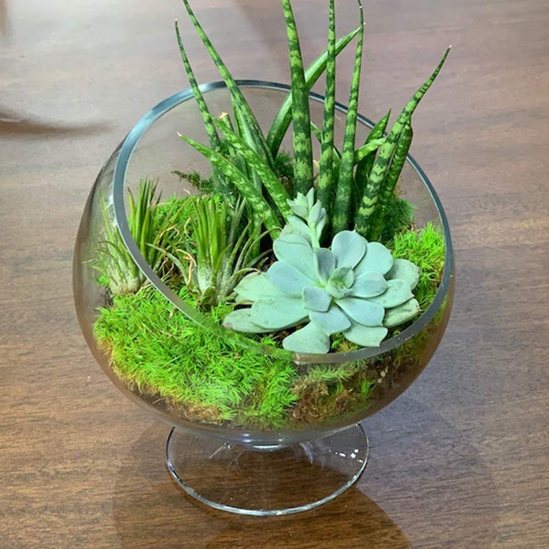 WGVI WGV Slant Cut Bowl Glass Vase with Stand  Width 8.25""  Height 8.75""  Clear Planter Terrarium  Candy Dish  Fruit Jar for Wedding Party Event  Home Office Decor  1 Piece - Image 4