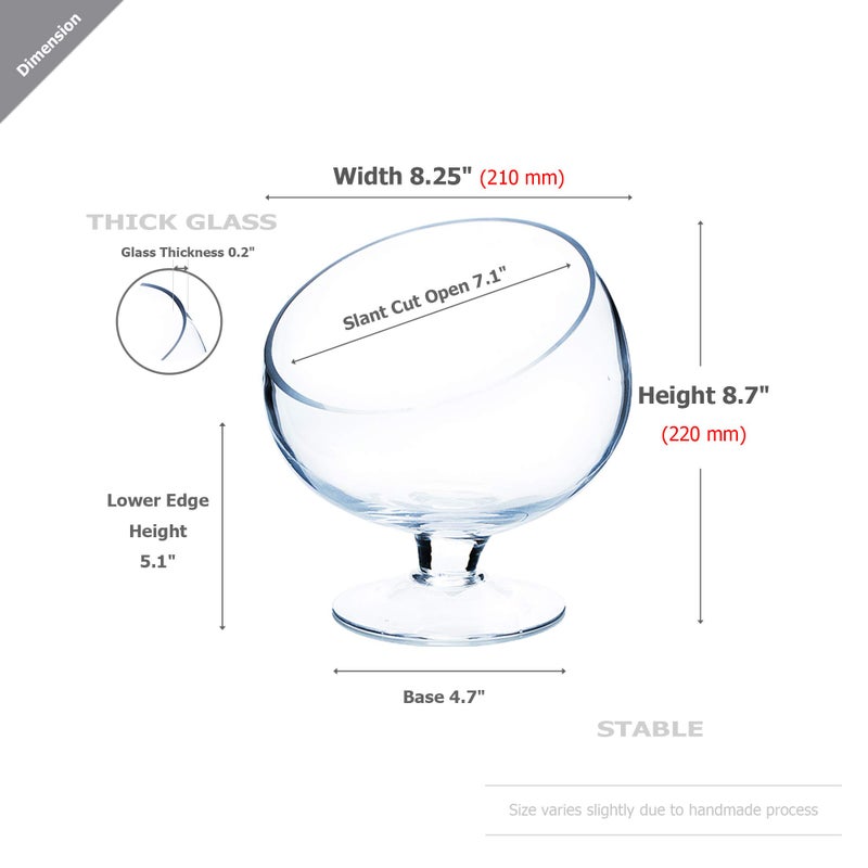 WGVI WGV Slant Cut Bowl Glass Vase with Stand  Width 8.25""  Height 8.75""  Clear Planter Terrarium  Candy Dish  Fruit Jar for Wedding Party Event  Home Office Decor  1 Piece - Image 2