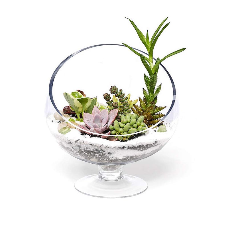 WGVI WGV Slant Cut Bowl Glass Vase with Stand  Width 8.25""  Height 8.75""  Clear Planter Terrarium  Candy Dish  Fruit Jar for Wedding Party Event  Home Office Decor  1 Piece - Image 5