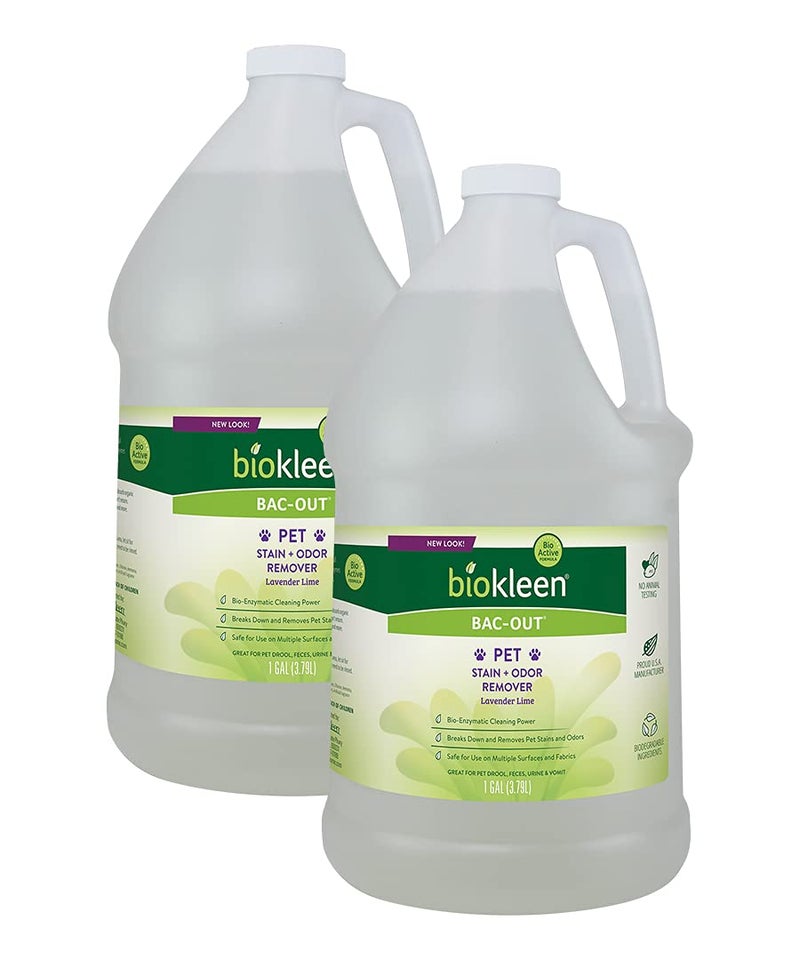 Biokleen BacOut Pet Stain Remover 2 Gallon Enzymatic Natural Destroys Stains Odors Safely for Pet Stains on Carpets EcoFriendly PlantBased