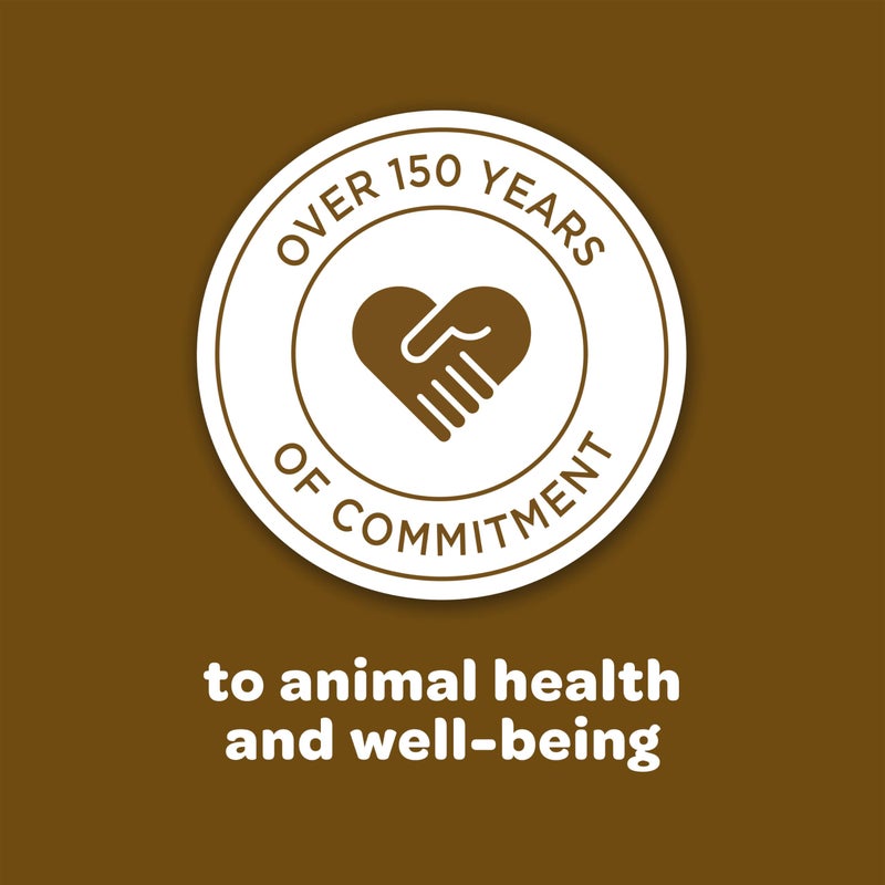 Kaytee خليط طعام الحياة البرية من كايتى للسناجب البرية، والشراغيف، والأرانب وغيرها من الحياة البرية في الفناء الخلفي، 5 أرطال - Image 3