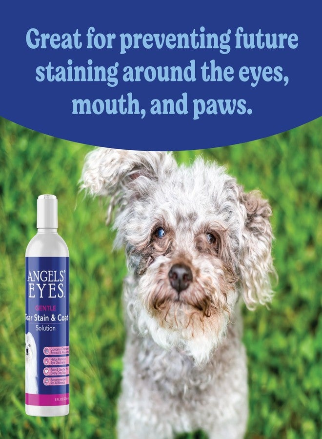 ANGELS' EYES Gentle Tear Stain Solution for Dogs and Cats | 8 oz Solution for Eye Area and Face | Remove Discharge, Dirt, Tear Stains, and Mucus - Image 3