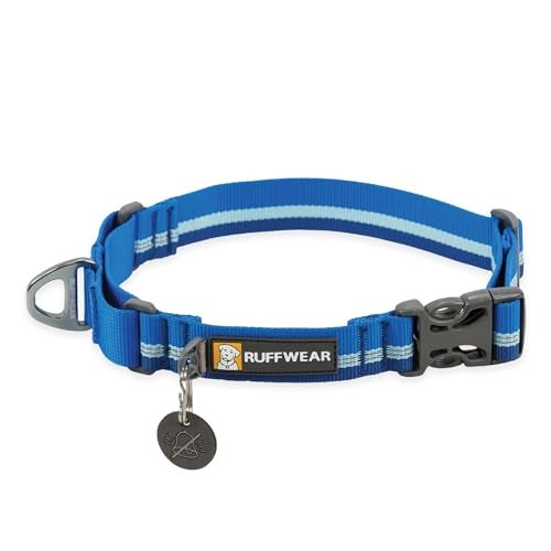 Ruffwear Web Reaction Dog Collar EscapeProof Security Buckle Adjustable AntiSlip Martingale Collar with Durable Nylon Tubelok Webbing Silent ID Attachment Blue Pool 1720 - Image 1