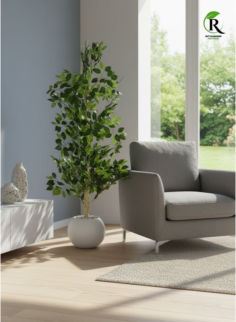 Al-Rawasem House Lemon leaf tree with a white pot, attractive design, make your home more elegant, 130 cm - Image 3